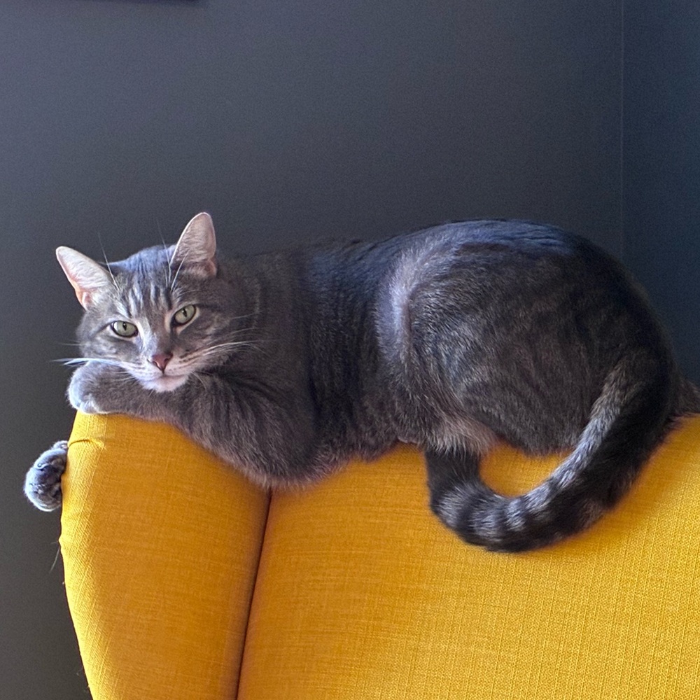 Meet your Posher, Kristina